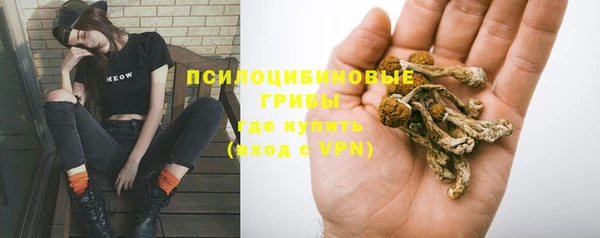 дурь Гусь-Хрустальный