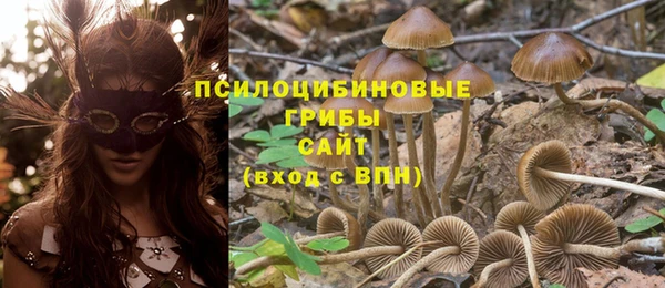 экстази Медногорск