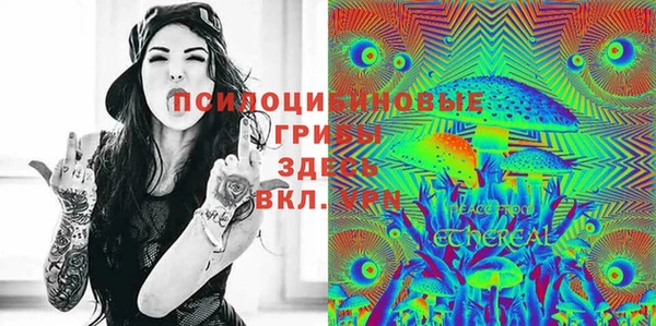 дурь Гусь-Хрустальный