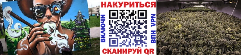 Конопля Bruce Banner  Жуковка 